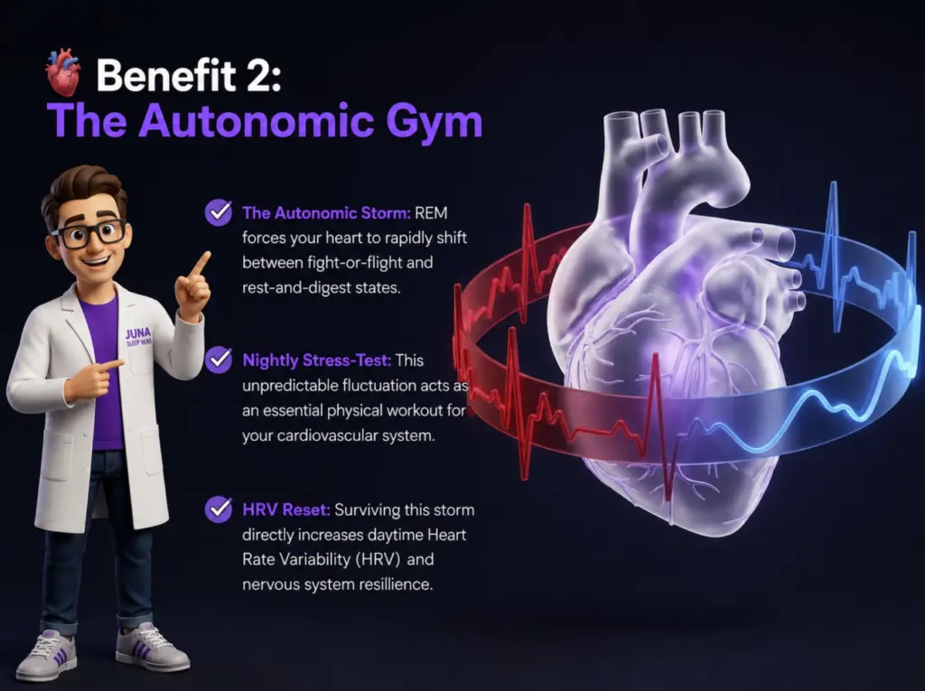 Juna-Sleep-Systems-Autonomic-Gym-Heart-Health An educational infographic for JUNA Sleep Systems explaining "Benefit 2: The Autonomic Gym." A cartoon sleep expert in a white lab coat points toward a large, translucent human heart model wrapped in a glowing ring that shifts from a jagged red EKG line to a smooth blue wave.